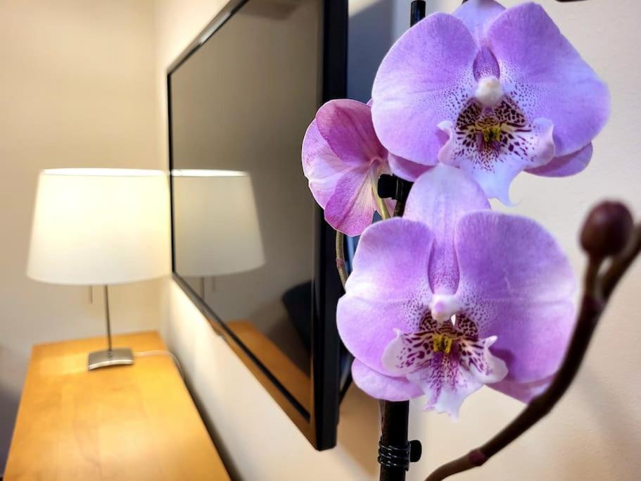 Flamenco, Apartamento Exclusivo De Dos Habitaciones En El Pleno Del Casco Antiguo, Alicante, Playa, Centro Historico, Rambla 외부 사진